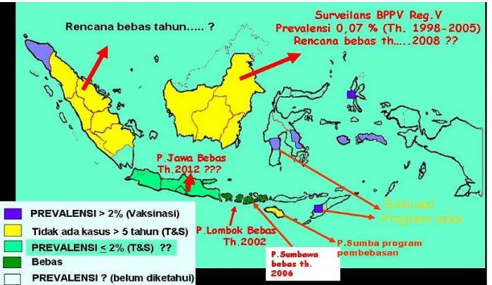Gambar 3. Peta Epidemiologi Brucellosis di Indonesia Tahun 2006 (Dirkeswan 2004) 