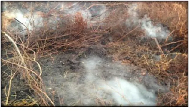 Gambar 4. Kebakaran tanah gambut  dibawah permukaan tanah  ( https://www.google.com/search ) 