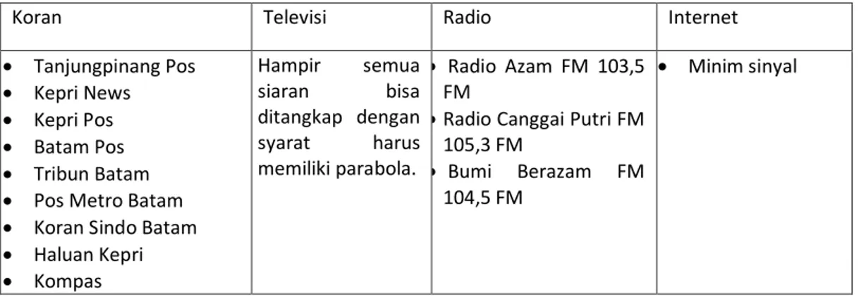 Tabel 4.5 Media Kabupaten Natuna 