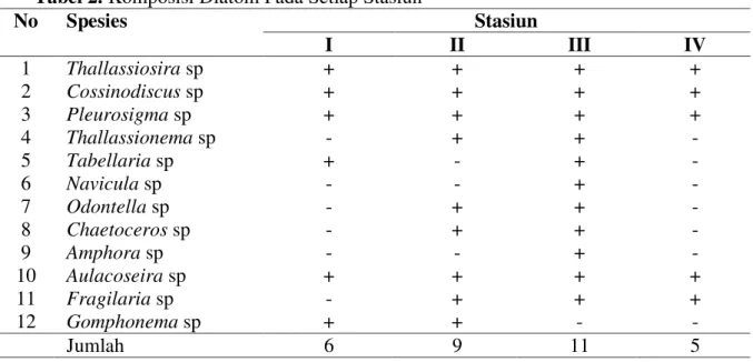 Tabel 2. Komposisi Diatom Pada Setiap Stasiun 