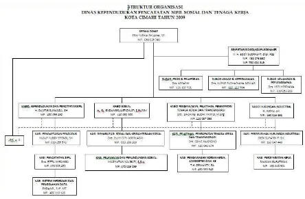Gambar 3.3 Struktur Organisasi Dinas Kependudukan, Pencatatan Sipil. Sosial dan Tenaga Kerja Kota Cimahi