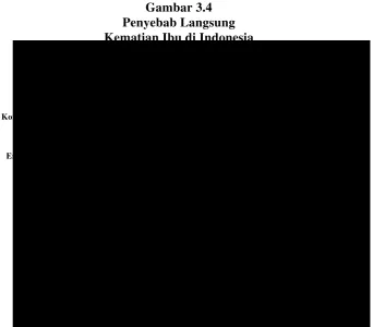 Gambar 3.4 Penyebab Langsung  