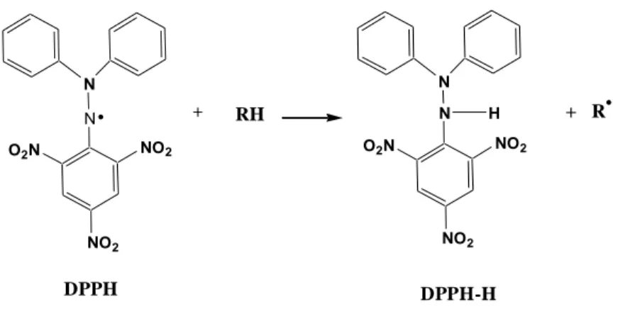 Gambar 3.2. Reduksi DPPH dari senyawa peredam radikal bebas (Prakash et al, 2001). 