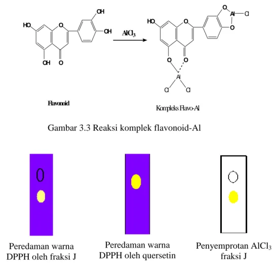 Gambar  3.4.  Peredaman  warna  DPPH  oleh  fraksi  J,  quersetin  dan  penyemprotan  AlCl 3   oleh 
