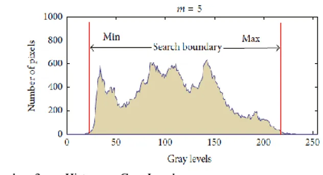 Gambar  3  menunjukkan  histogram  gray-level  menggunakan  search  boundary.  Area  pencarian  dengan  search  boundary  menjadi  [20,  220]  daripada  area  pencarian  awal  [0,  255]