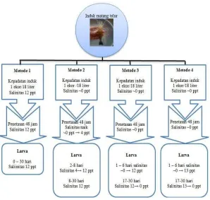 Gambar 1. Skema metode penelitian. 