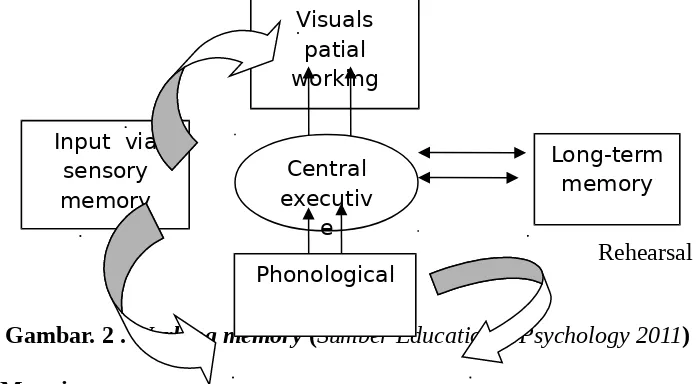 Gambar. 2 . Working memory (Sumber Educational Psychology 2011)