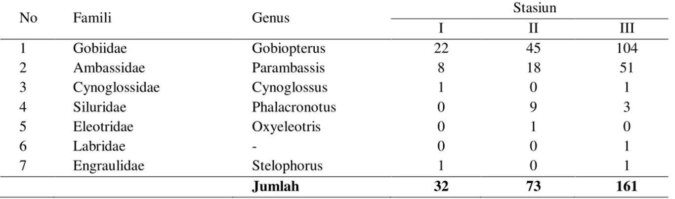 Tabel  1.  Komposisi  dan  Kelimpahan  Larva  dan  Juvenil  Ikan  yang  Terdapat  di  sekitar  Muara  Sungai  Tulung  Demak (ind/100 m 3 ) 