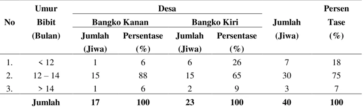 Tabel 14. Distribusi Petani Sampel Berdasarkan Umur Bibit Yang Dipindahkan Ke lapangan