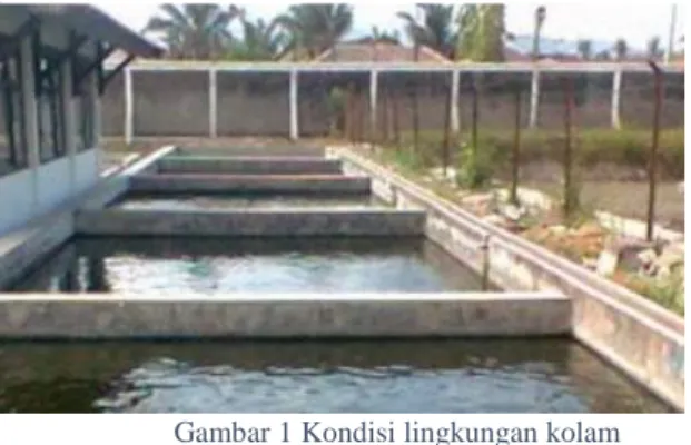 Gambar 1 Kondisi lingkungan kolam 