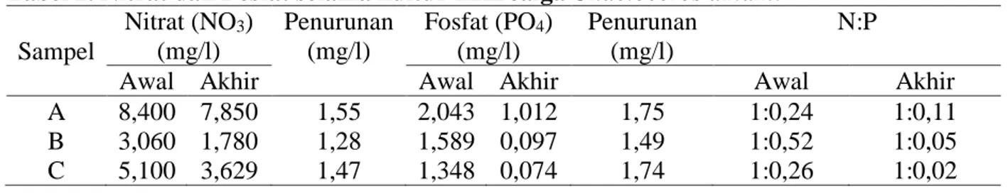Tabel 2. Nitrat dan Fosfat selama kultur mikroalga Chaetoceros amami 