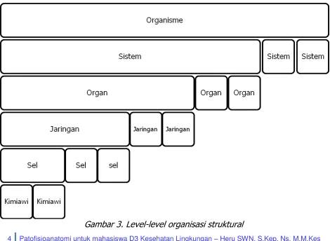Gambar 3. Arah-arah dalam ruang  