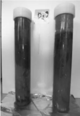 Gambar 1.  Sampel sedimen dalam sampling core 