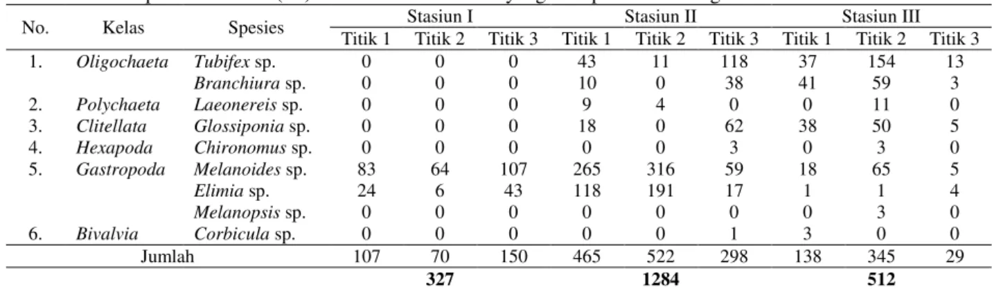 Tabel 1. Kelimpahan Individu (KI) Hewan Makrobenthos yang Didapatkan Di Sungai Elo ind/m 3 