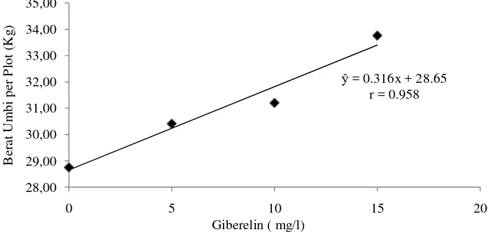 Gambar 9. Hubungan berat umbi per plot (kg) dengan  Giberelin. 