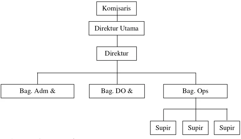 Gambar 4. Struktur Organisasi PT. Sekawan Jaya Wisesa 