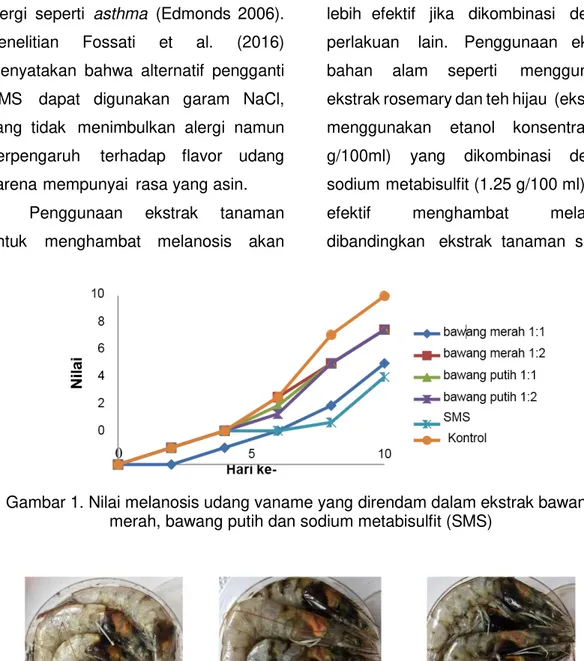 Gambar 1. Nilai melanosis udang vaname yang direndam dalam ekstrak bawang  merah, bawang putih dan sodium metabisulfit (SMS) 