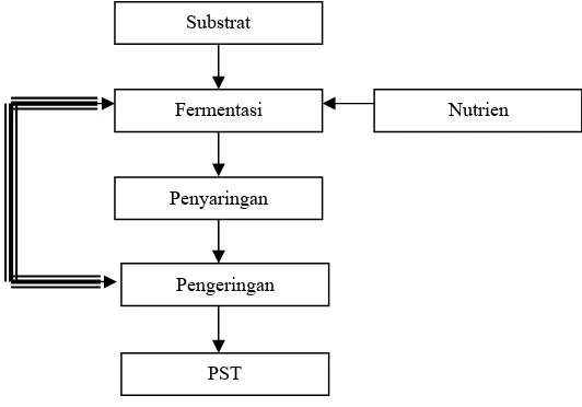 Gambar 2. Proses produksi protein sel tunggal (PST) 