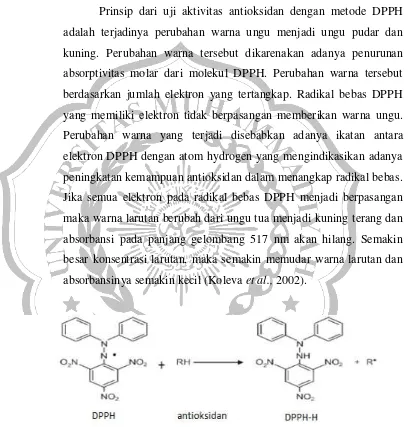 Gambar 2.6. Mekanisme Penangkapan Radikal DPPH oleh Antioksidan  