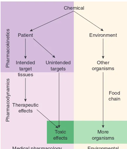 FIGURE 1–1 Major areas of study in pharmacology. The actions of chemicals can be divided into two large domains