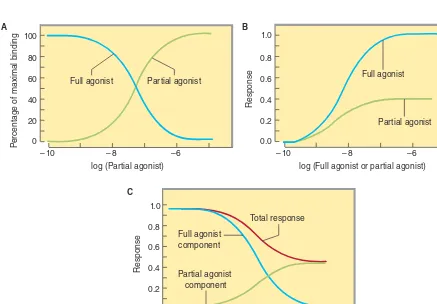 FIGURE 2–4 A:in the presence of increasing concentrations of a partial agonist. Because the full agonist (blue line) and the partial agonist (green line) compete to bind to the same receptor sites, when occupancy by the partial agonist increases, binding o