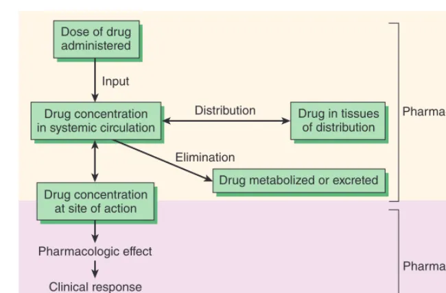 FIGURE 3–1 The relationship between dose and effect can be separated into pharmacokinetic (dose-concentration) and pharmacody-namic (concentration-effect) components