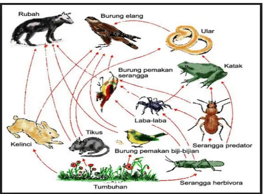 tabel di atas. Berikan simpulan dari data hasil uji laboratorium di atas!