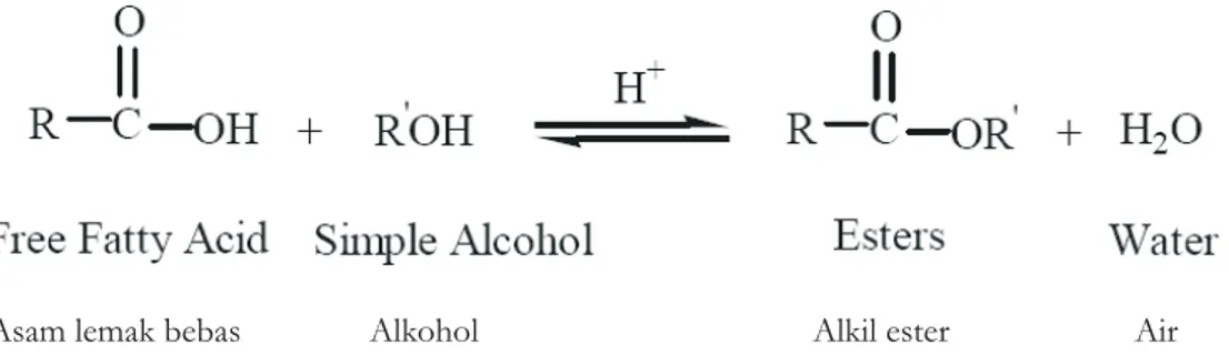 Gambar 2. Reaksi esterifikasi (Khan, 2002) Figure 2. Esterification reaction (Khan, 2002)