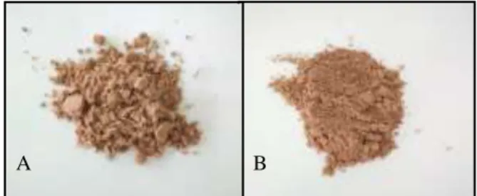 Gambar  1. Hasil  stabilisasi  bekatul  beras  merah (Oryza  nivara)  A) sebelum  dan  B)  sesudah  stabilisasi 