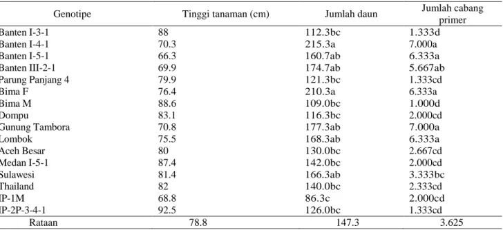 Tabel  3.    Pengaruh  genotipe  terhadap  tinggi  tanaman, jumlah daun, dan jumlah cabang primer jarak  pagar di  tanah masam 