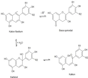 Gambar 5 menjelaskan bahwa di dalam  larutan terdapat empat bentuk kesetimbangan  antosianin yaitu kation flavilium, basa  quinoidal, karbinol (pseudobasa) dan kalkon  (Bakowska-Barczak, 2005)