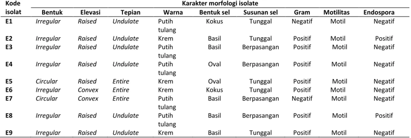 Tabel  1.Karakterisasi  Morfologi  Isolat  Bakteri  Endofit  Penghasil  Antibakteri  dari  Daun  Binahong(Anredera 