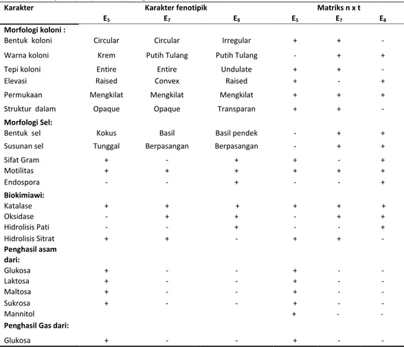 Tabel  3.  Hasil  Uji  Karakter  Fenotipik  dan  Matriks  n  x  t  Isolat  Bakteri  Endofit  Terpilih  dari  Daun  Binahong 