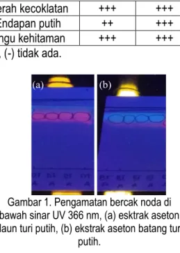 Gambar 1. Pengamatan bercak noda di  bawah sinar UV 366 nm, (a) esktrak aseton  daun turi putih, (b) ekstrak aseton batang turi 