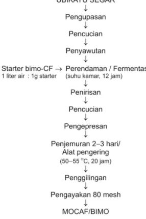 Gambar 1. Diagram alir pembuatan mocaf/bimo. Sumber: Misgiyarta et al. (2009).
