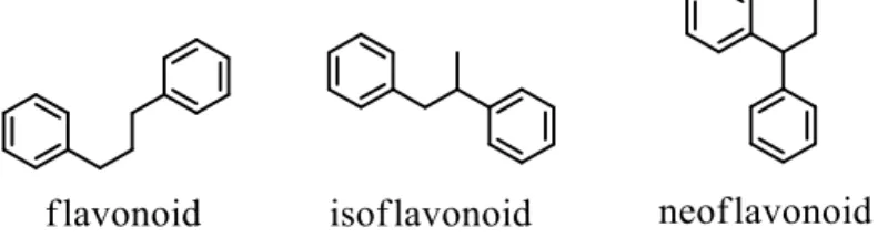 Gambar 2.2. Tahap awal biosintesis flavonoid 