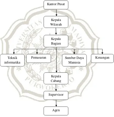 Gambar 1. Struktur Organisasi AJB BUMI PUTERA wilayah Semarang 