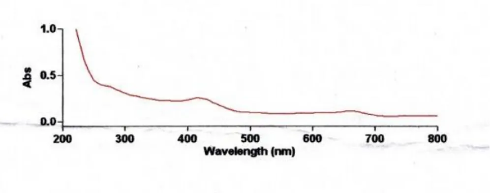 Gambar 7. Hasil spektrum UV-Vis batanglahuna pada isolat 7  Dari  hasil  spektrum  yang  tampak 