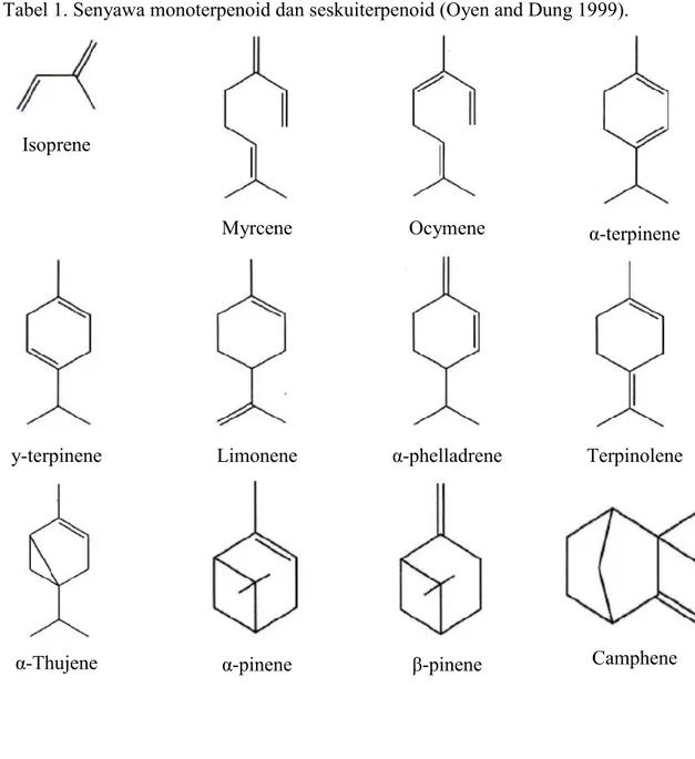 Tabel 1. Senyawa monoterpenoid dan seskuiterpenoid (Oyen and Dung 1999). 