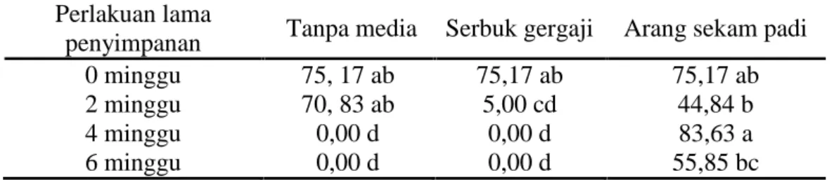 Tabel 2.  Persentase jumlah benih berkecambah pada saat dikecambahkan dengan  perlakuan media simpan dan lama penyimpanan (%).