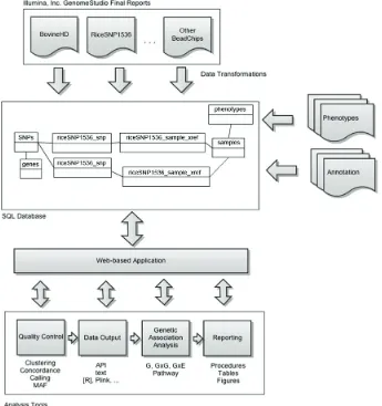 Fig. 1. System overview. From Baurley et al., International Journal of Bio-Science and Bio-Technology, vol