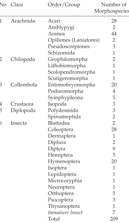 Table 1. The number of Arthropods morphospecies ineach order