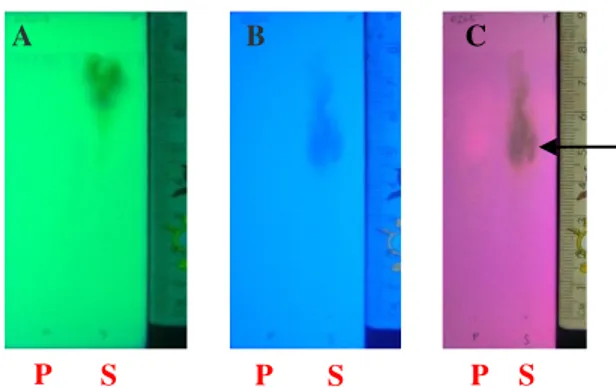 Gambar 4.  Kromatogram analisis polifenol dari fraksi metanol ekstrak etanol  daun sirih merah 