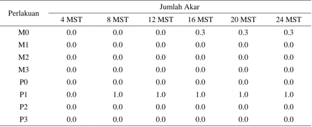 Tabel  6.  Nilai  rataan  jumlah  akar  plantlet  kultivar  Nambangan  pada  berbagai  media  perlakuan  mengandung mannitol (M) atau paclobutrazol (P)