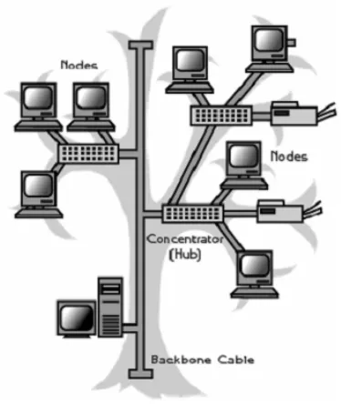 Gambar 2.14. Struktur Topologi Tree 
