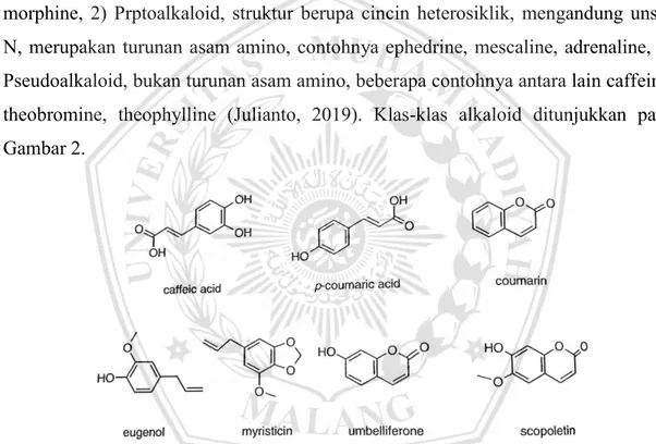 Gambar 2. Klas-klas Alkaloid (Cseke et al., 2006).  2.  Flavonoid 