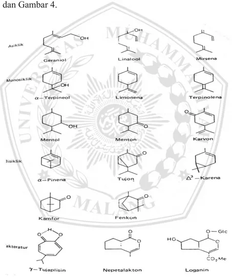 Gambar 3. Struktur kimia monoterpena (Harborne, 2006) 
