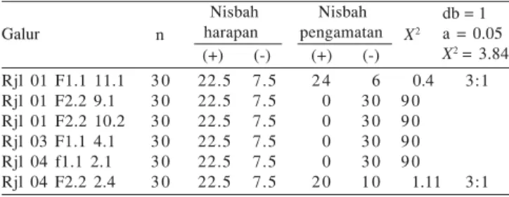 Tabel 4. Segregasi gen cryIB-cryIAa pada populasi T 1                                           Nisbah            Nisbah                                        harapan        pengamatan                                         (+)      (-)        (+)      (