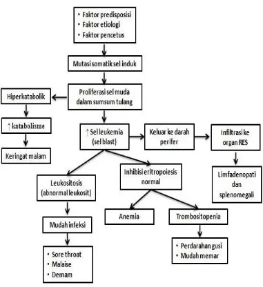 Gambar 1. Bagan alur leukemia (Komalasari et al, 2014). 