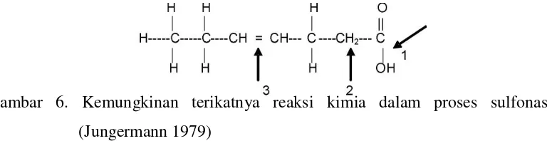 Gambar 6. Kemungkinan terikatnya reaksi kimia dalam proses sulfonasi  